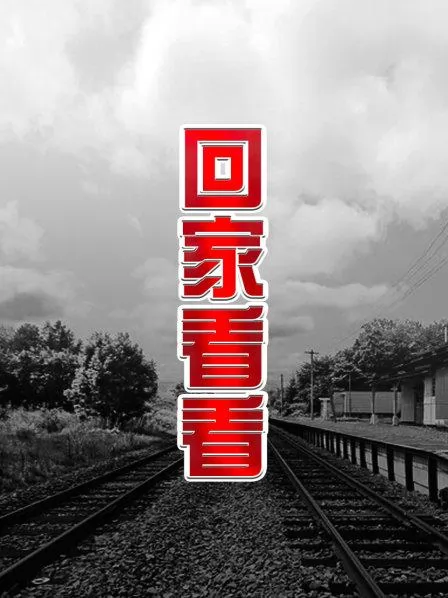 回家看看